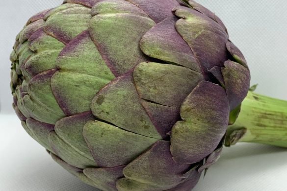 steamed purple artichoke