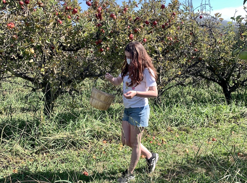 apple picking, things to do in autumn