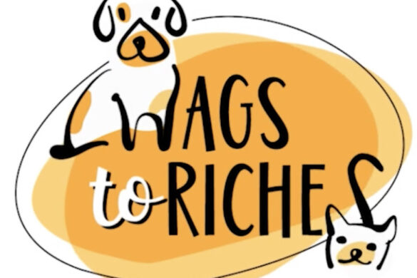 Wags to riches