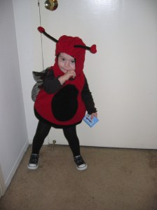 A Ladybug's Halloween 2008