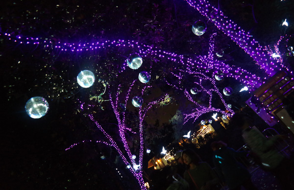 Los Angeles Holiday Lights, Family Holiday Fun, Los Angeles Zoo lights, family entertainment los angeles