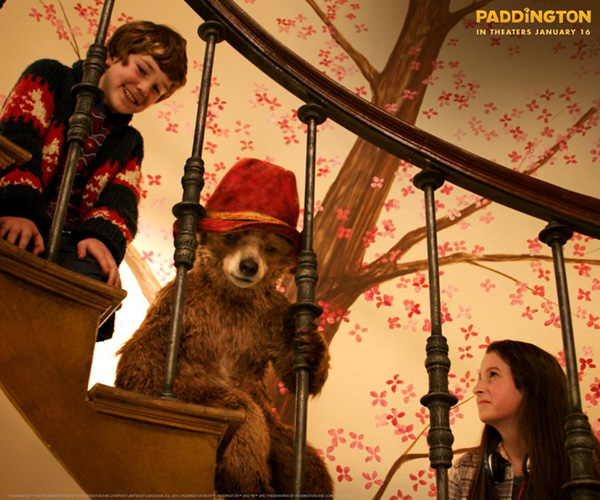 Paddington Bear, Paddington Movie Release Date, Paddington Family film, Paddington Movie Review