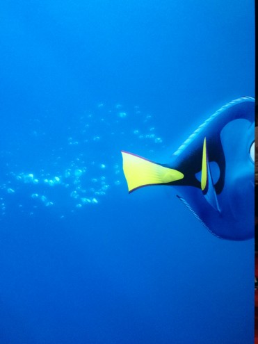 d23_findingdory2
