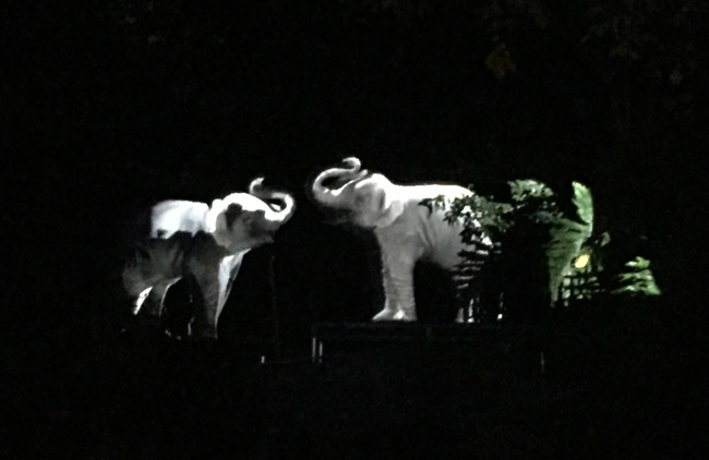 la-zoo-lights-elephants
