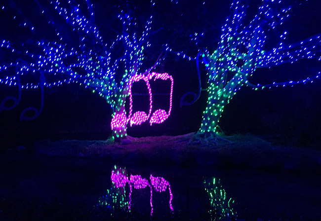 la-zoo-lights-pond