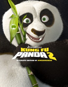 Kung Fu Panda 2, Kung Fu 