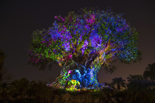 Disney&apos;s Animal Kingdom&apos;s iconic Tree of Life will undergo extraordinary "awakenings" throughout each evening as the animal spirits are brought to life by magical fireflies that reveal colorful stories of wonder and enchantment. Projections of nature scenes take on a magical quality as they appear to dramatically emanate from within the Tree of Life. (David Roark, photographer) (PRNewsFoto/Walt Disney World Resort)