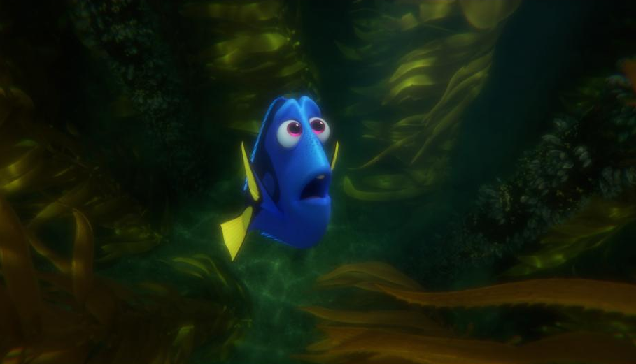 finding dory review, Finding Dory emotional, Blue Tang facts