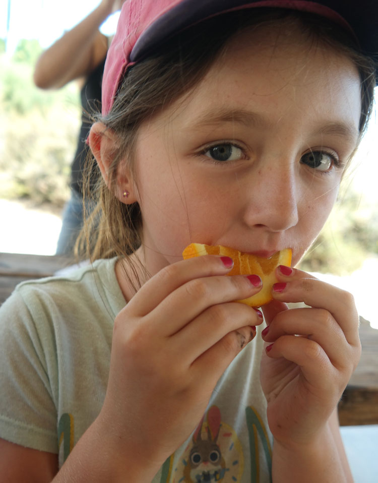 California Citrus State Historic Park, Free Family Friendly Riverside, Things to do in Riverside, Foodie