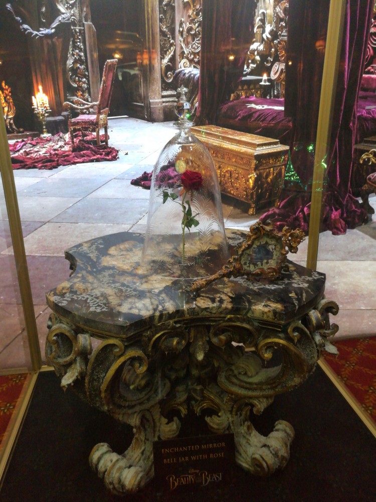 Rose from Beauty and the Beast, Beauty and the Beast props, Dan Stevens at Disneyland Resort, Grey Stuff