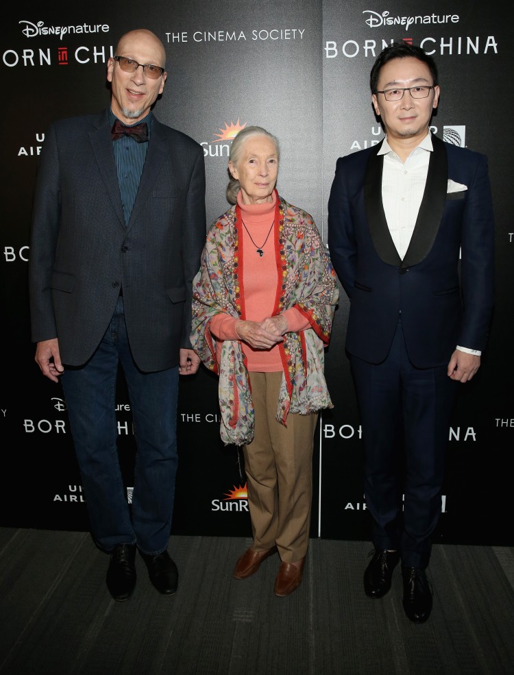 NEW YORK, NY - APRIL 08: Producer Roy Conli, Dr. Jane Goodall and Director Lu Chuan attend Dr. Jane Goodall, Director Lu Chuan And Producers Roy Conli And Brian Leith Arrive At The New York Premeire Of Disneynature's "Born In China" at Landmark Sunshine Cinema on April 8, 2017 in New York City. (Photo by Monica Schipper/Getty Images or Walt Disney Studios Motion Pictures)