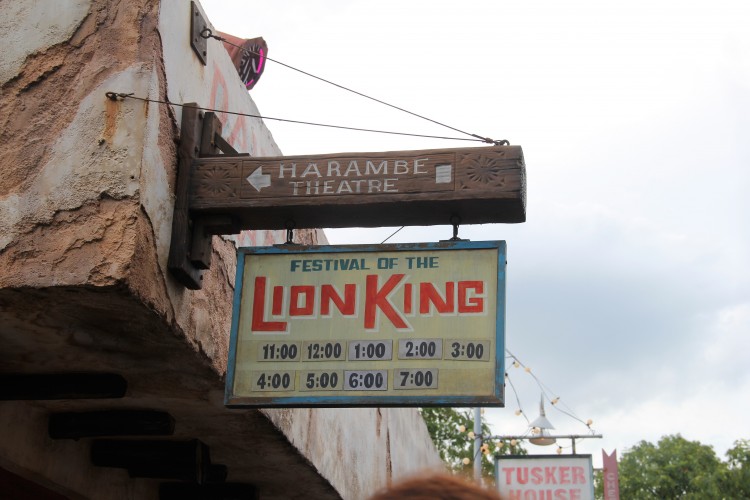 festival of the lion king 8
