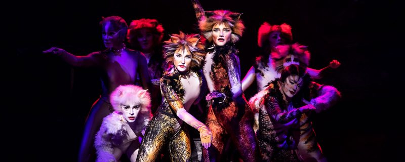 Cats, Hollywood Pantages theater