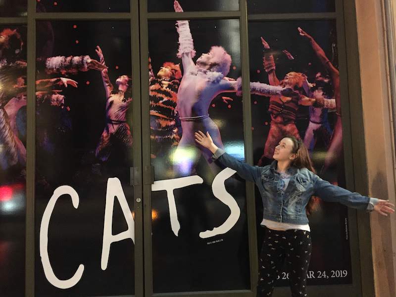 cats hollywood antages