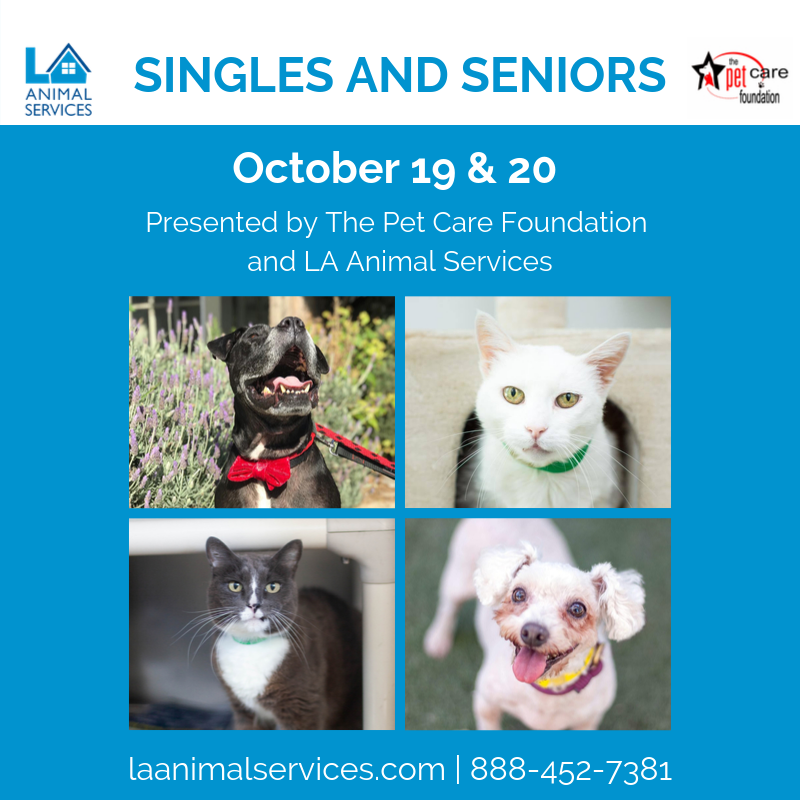 Singles and seniors pet adoption la animal services 
