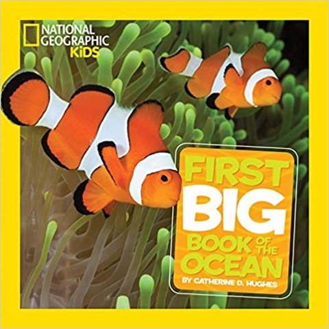 national geographic kids books, ocean