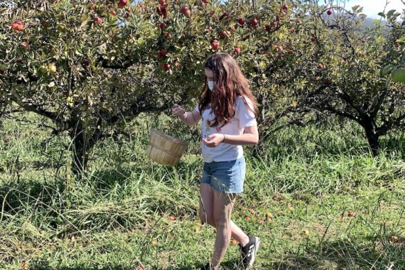 apple picking, things to do in autumn
