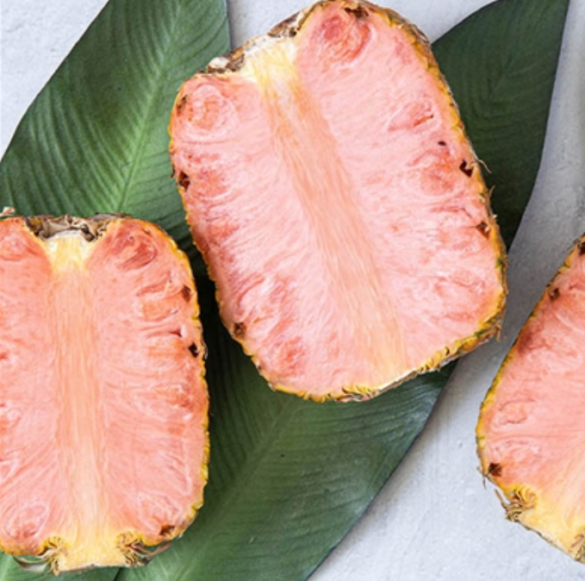 Pinkglow Pineapple Lighting Up Our Tastebuds That's It LA