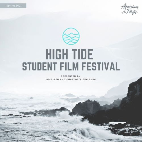 high tide student film festival