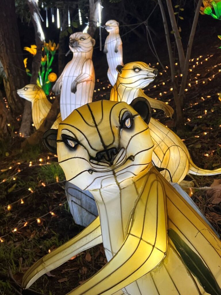 la zoo lights animals aglow 2024