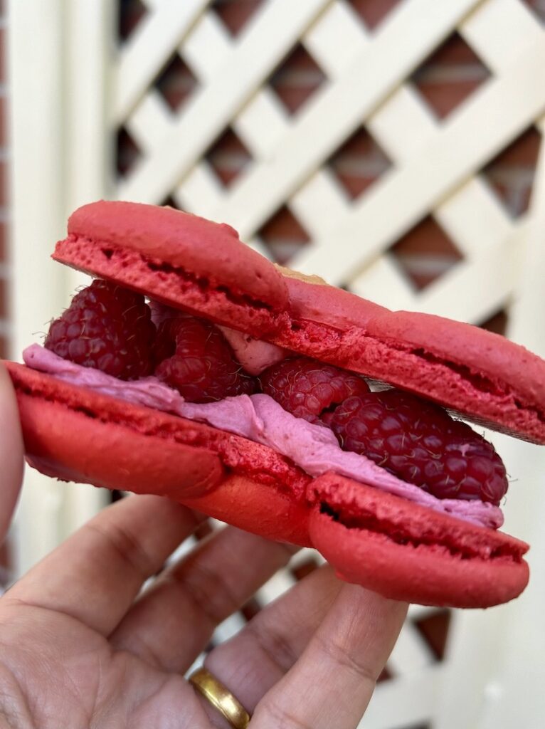 Raspberry Rose Mickey Macaron