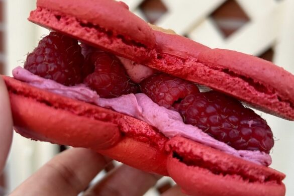 disneyland foodie what to eat 2026 macaron