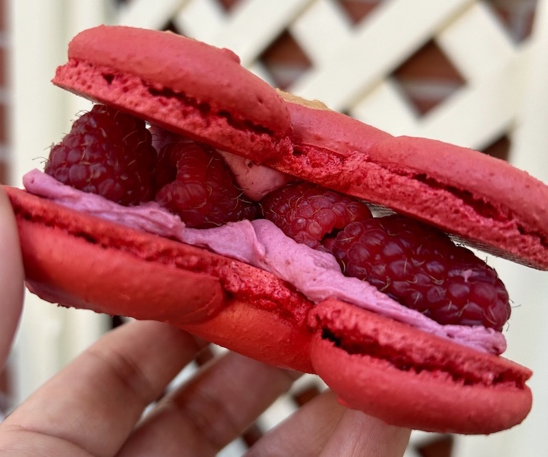 disneyland foodie what to eat 2026 macaron