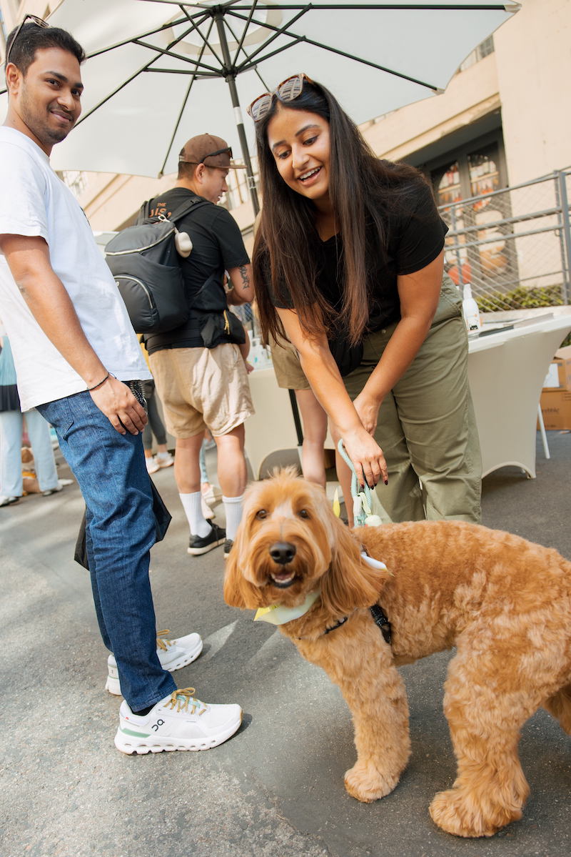 maum market pet friendly