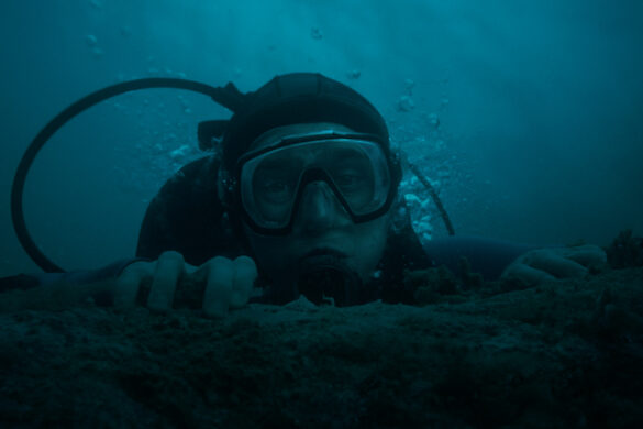 WHALEFALL